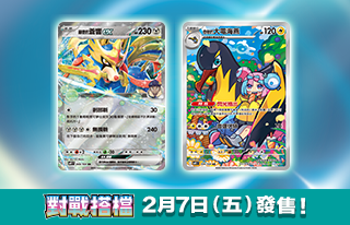 확장팩 배틀 파트너